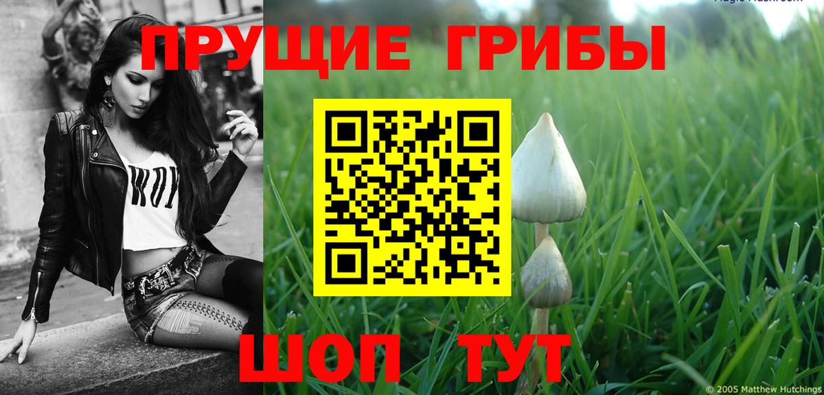 Псилоцибиновые грибы GOLDEN TEACHER  Вход с VPN  Галлюциногенные грибы мухоморы  Будённовск 